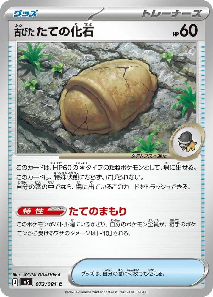 Antique Armor Fossil — M5 072