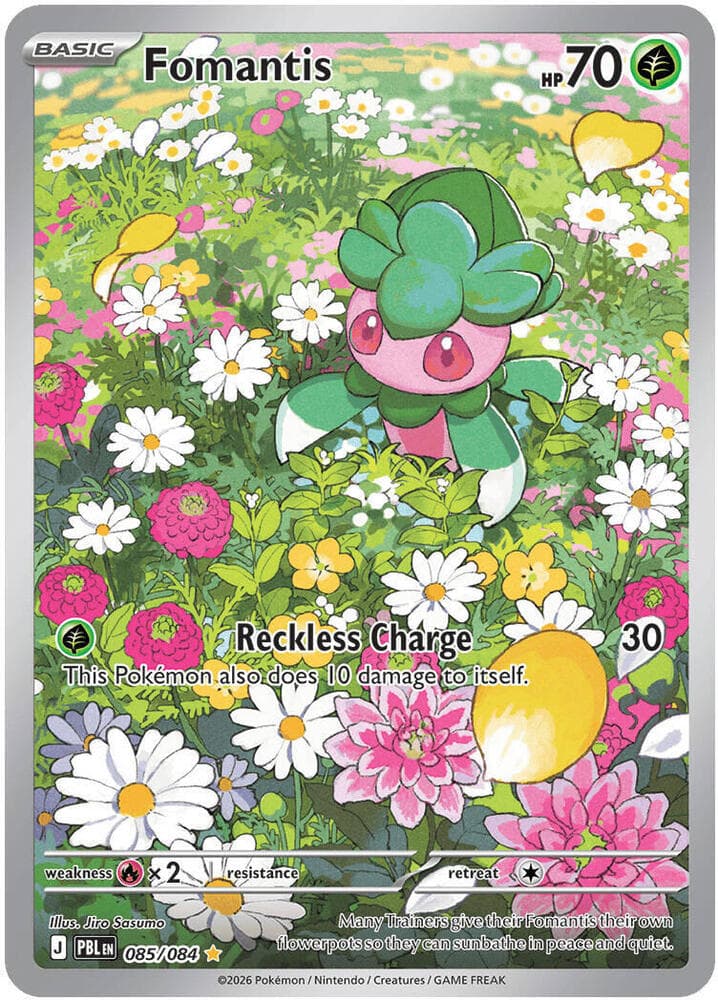 Fomantis — ME05 085